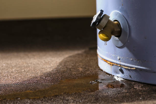 Best Carpet water damage restoration  in Fulton, IL