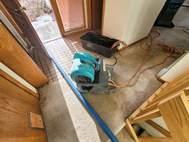 Best Professional water damage repair  in Fulton, IL