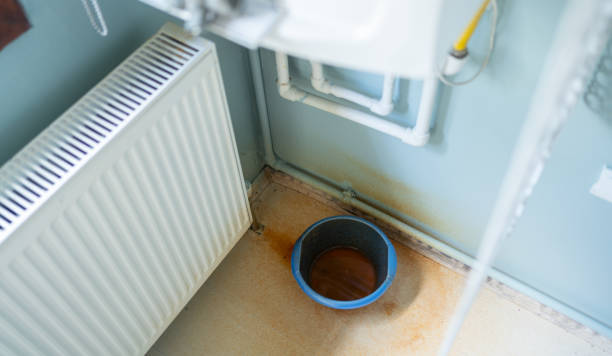 Best Fire Damage Restoration  in Fulton, IL