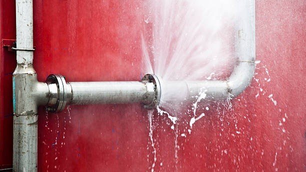 Best 24-hour water damage restoration  in Fulton, IL